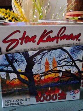 Steve Kaufman Pop-Art puzzle